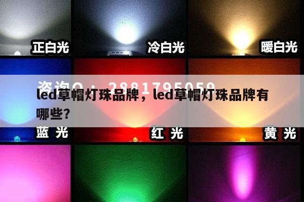 led草帽灯珠品牌，led草帽灯珠品牌有哪些？-第1张图片-led灯珠, 贴片led灯珠, 直插led灯珠, 大功率灯珠, 3528灯珠, led灯珠厂家广东台宏光电科技有限公司 服务热线400-689-8189