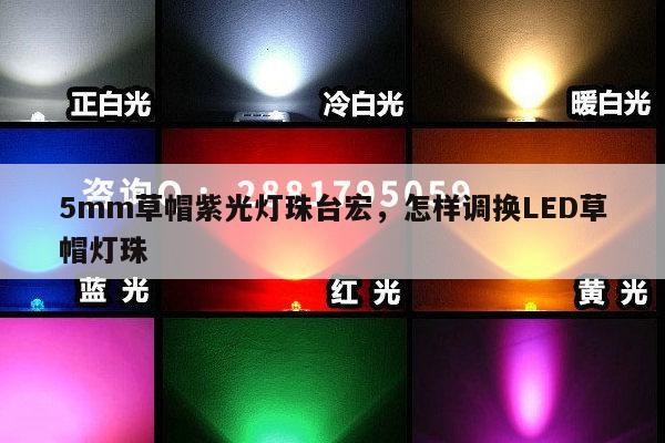 5mm草帽紫光灯珠台宏,怎样调换LED草帽灯珠-第1张图片-led灯珠, 贴片led灯珠, 直插led灯珠, 大功率灯珠, 3528灯珠, led灯珠厂家广东台宏光电科技有限公司 服务热线400-689-8189 5mm草帽紫光灯珠台宏,怎样调换LED草帽灯珠-第1张图片-led灯珠, 贴片led灯珠, 直插led灯珠, 大功率灯珠, 3528灯珠, led灯珠厂家广东台宏光电科技有限公司 服务热线400-689-8189