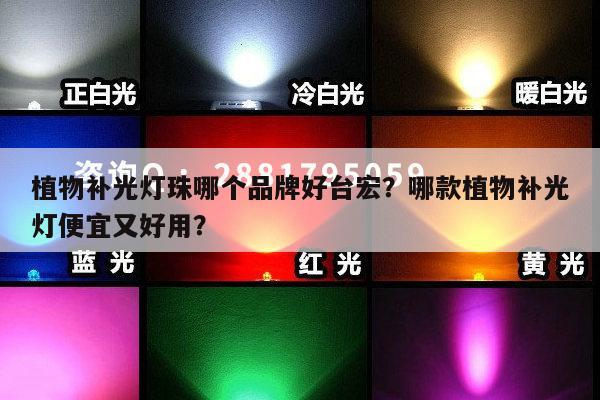 植物补光灯珠哪个品牌好台宏?哪款植物补光灯便宜又好用?-第1张图片-led灯珠, 贴片led灯珠, 直插led灯珠, 大功率灯珠, 3528灯珠, led灯珠厂家广东台宏光电科技有限公司 服务热线400-689-8189 植物补光灯珠哪个品牌好台宏?哪款植物补光灯便宜又好用?-第1张图片-led灯珠, 贴片led灯珠, 直插led灯珠, 大功率灯珠, 3528灯珠, led灯珠厂家广东台宏光电科技有限公司 服务热线400-689-8189