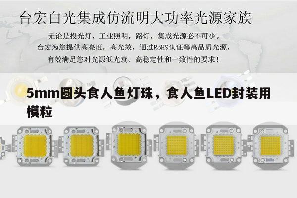 5mm圆头食人鱼灯珠,食人鱼LED封装用模粒-第1张图片-led灯珠, 贴片led灯珠, 直插led灯珠, 大功率灯珠, 3528灯珠, led灯珠厂家广东台宏光电科技有限公司 服务热线400-689-8189 5mm圆头食人鱼灯珠,食人鱼LED封装用模粒-第1张图片-led灯珠, 贴片led灯珠, 直插led灯珠, 大功率灯珠, 3528灯珠, led灯珠厂家广东台宏光电科技有限公司 服务热线400-689-8189