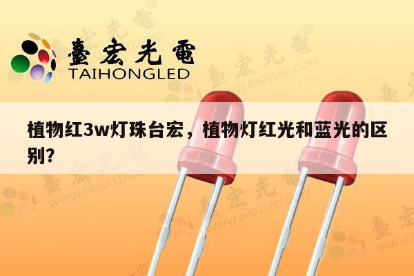 植物红3w灯珠台宏，植物灯红光和蓝光的区别？-第1张图片-led灯珠, 贴片led灯珠, 直插led灯珠, 大功率灯珠, 3528灯珠, led灯珠厂家广东台宏光电科技有限公司 服务热线400-689-8189