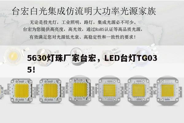 5630灯珠厂家台宏，LED台灯TG035！-第1张图片-led灯珠, 贴片led灯珠, 直插led灯珠, 大功率灯珠, 3528灯珠, led灯珠厂家广东台宏光电科技有限公司 服务热线400-689-8189