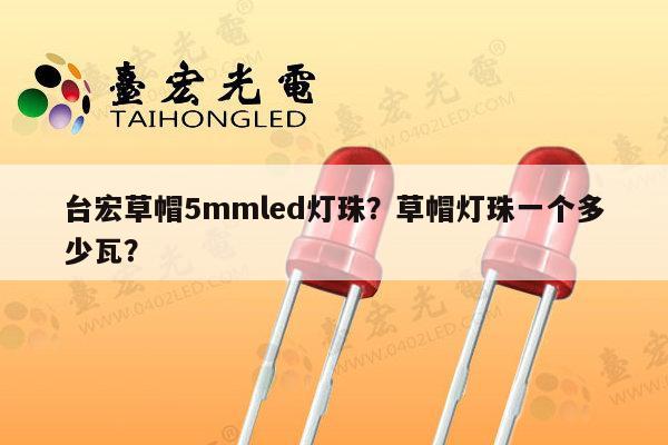 台宏草帽5mmled灯珠?草帽灯珠一个多少瓦?-第1张图片-led灯珠, 贴片led灯珠, 直插led灯珠, 大功率灯珠, 3528灯珠, led灯珠厂家广东台宏光电科技有限公司 服务热线400-689-8189 台宏草帽5mmled灯珠?草帽灯珠一个多少瓦?-第1张图片-led灯珠, 贴片led灯珠, 直插led灯珠, 大功率灯珠, 3528灯珠, led灯珠厂家广东台宏光电科技有限公司 服务热线400-689-8189