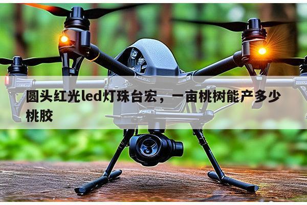 圆头红光led灯珠台宏,一亩桃树能产多少桃胶-第1张图片-led灯珠, 贴片led灯珠, 直插led灯珠, 大功率灯珠, 3528灯珠, led灯珠厂家广东台宏光电科技有限公司 服务热线400-689-8189 圆头红光led灯珠台宏,一亩桃树能产多少桃胶-第1张图片-led灯珠, 贴片led灯珠, 直插led灯珠, 大功率灯珠, 3528灯珠, led灯珠厂家广东台宏光电科技有限公司 服务热线400-689-8189