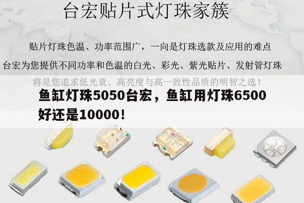 鱼缸灯珠5050台宏,鱼缸用灯珠6500好还是10000!-第1张图片-led灯珠, 贴片led灯珠, 直插led灯珠, 大功率灯珠, 3528灯珠, led灯珠厂家广东台宏光电科技有限公司 服务热线400-689-8189 鱼缸灯珠5050台宏,鱼缸用灯珠6500好还是10000!-第1张图片-led灯珠, 贴片led灯珠, 直插led灯珠, 大功率灯珠, 3528灯珠, led灯珠厂家广东台宏光电科技有限公司 服务热线400-689-8189