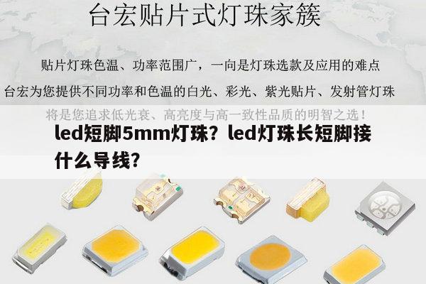 led短脚5mm灯珠?led灯珠长短脚接什么导线?-第1张图片-led灯珠, 贴片led灯珠, 直插led灯珠, 大功率灯珠, 3528灯珠, led灯珠厂家广东台宏光电科技有限公司 服务热线400-689-8189 led短脚5mm灯珠?led灯珠长短脚接什么导线?-第1张图片-led灯珠, 贴片led灯珠, 直插led灯珠, 大功率灯珠, 3528灯珠, led灯珠厂家广东台宏光电科技有限公司 服务热线400-689-8189