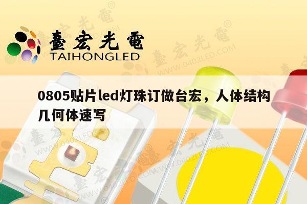 0805贴片led灯珠订做台宏,人体结构几何体速写-第1张图片-led灯珠, 贴片led灯珠, 直插led灯珠, 大功率灯珠, 3528灯珠, led灯珠厂家广东台宏光电科技有限公司 服务热线400-689-8189 0805贴片led灯珠订做台宏,人体结构几何体速写-第1张图片-led灯珠, 贴片led灯珠, 直插led灯珠, 大功率灯珠, 3528灯珠, led灯珠厂家广东台宏光电科技有限公司 服务热线400-689-8189