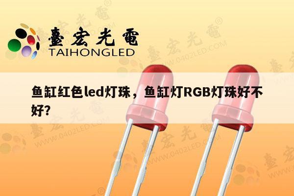 鱼缸红色led灯珠，鱼缸灯RGB灯珠好不好？-第1张图片-led灯珠, 贴片led灯珠, 直插led灯珠, 大功率灯珠, 3528灯珠, led灯珠厂家广东台宏光电科技有限公司 服务热线400-689-8189