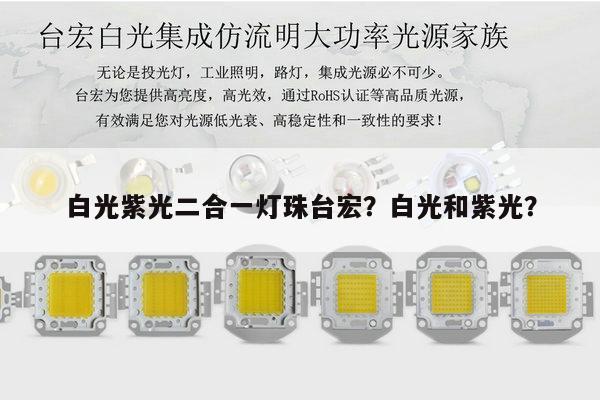 白光紫光二合一灯珠台宏？白光和紫光？-第1张图片-led灯珠, 贴片led灯珠, 直插led灯珠, 大功率灯珠, 3528灯珠, led灯珠厂家广东台宏光电科技有限公司 服务热线400-689-8189