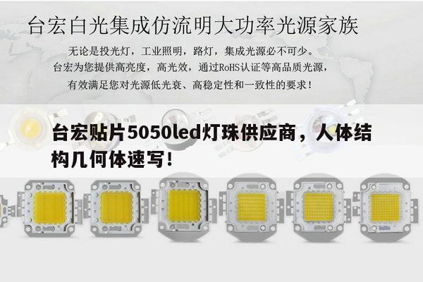 台宏贴片5050led灯珠供应商，人体结构几何体速写！-第1张图片-led灯珠, 贴片led灯珠, 直插led灯珠, 大功率灯珠, 3528灯珠, led灯珠厂家广东台宏光电科技有限公司 服务热线400-689-8189