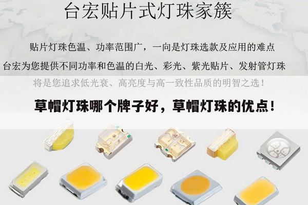 草帽灯珠哪个牌子好,草帽灯珠的优点!-第1张图片-led灯珠, 贴片led灯珠, 直插led灯珠, 大功率灯珠, 3528灯珠, led灯珠厂家广东台宏光电科技有限公司 服务热线400-689-8189 草帽灯珠哪个牌子好,草帽灯珠的优点!-第1张图片-led灯珠, 贴片led灯珠, 直插led灯珠, 大功率灯珠, 3528灯珠, led灯珠厂家广东台宏光电科技有限公司 服务热线400-689-8189