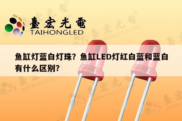 鱼缸灯蓝白灯珠?鱼缸LED灯红白蓝和蓝白有什么区别?-第1张图片-led灯珠, 贴片led灯珠, 直插led灯珠, 大功率灯珠, 3528灯珠, led灯珠厂家广东台宏光电科技有限公司 服务热线400-689-8189 鱼缸灯蓝白灯珠?鱼缸LED灯红白蓝和蓝白有什么区别?-第1张图片-led灯珠, 贴片led灯珠, 直插led灯珠, 大功率灯珠, 3528灯珠, led灯珠厂家广东台宏光电科技有限公司 服务热线400-689-8189