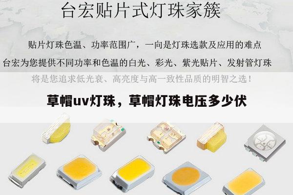 草帽uv灯珠，草帽灯珠电压多少伏-第1张图片-led灯珠, 贴片led灯珠, 直插led灯珠, 大功率灯珠, 3528灯珠, led灯珠厂家广东台宏光电科技有限公司 服务热线400-689-8189