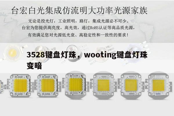 3528键盘灯珠，wooting键盘灯珠变暗-第1张图片-led灯珠, 贴片led灯珠, 直插led灯珠, 大功率灯珠, 3528灯珠, led灯珠厂家广东台宏光电科技有限公司 服务热线400-689-8189
