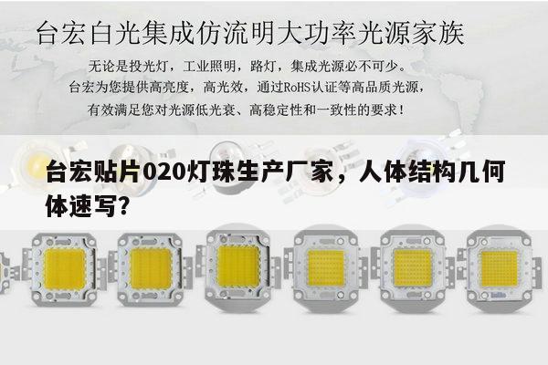 台宏贴片020灯珠生产厂家，人体结构几何体速写？-第1张图片-led灯珠, 贴片led灯珠, 直插led灯珠, 大功率灯珠, 3528灯珠, led灯珠厂家广东台宏光电科技有限公司 服务热线400-689-8189