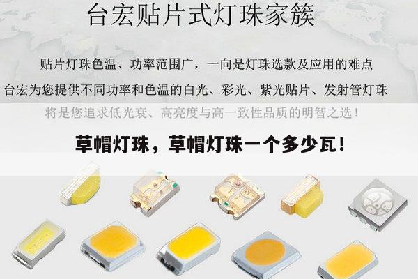 草帽灯珠,草帽灯珠一个多少瓦!-第1张图片-led灯珠, 贴片led灯珠, 直插led灯珠, 大功率灯珠, 3528灯珠, led灯珠厂家广东台宏光电科技有限公司 服务热线400-689-8189 草帽灯珠,草帽灯珠一个多少瓦!-第1张图片-led灯珠, 贴片led灯珠, 直插led灯珠, 大功率灯珠, 3528灯珠, led灯珠厂家广东台宏光电科技有限公司 服务热线400-689-8189