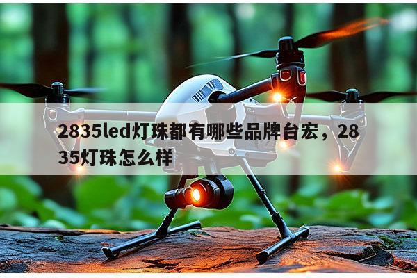 2835led灯珠都有哪些品牌台宏，2835灯珠怎么样-第1张图片-led灯珠, 贴片led灯珠, 直插led灯珠, 大功率灯珠, 3528灯珠, led灯珠厂家广东台宏光电科技有限公司 服务热线400-689-8189