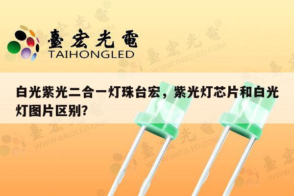 白光紫光二合一灯珠台宏,紫光灯芯片和白光灯图片区别?-第1张图片-led灯珠, 贴片led灯珠, 直插led灯珠, 大功率灯珠, 3528灯珠, led灯珠厂家广东台宏光电科技有限公司 服务热线400-689-8189 白光紫光二合一灯珠台宏,紫光灯芯片和白光灯图片区别?-第1张图片-led灯珠, 贴片led灯珠, 直插led灯珠, 大功率灯珠, 3528灯珠, led灯珠厂家广东台宏光电科技有限公司 服务热线400-689-8189