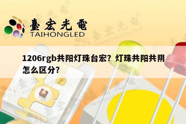 1206rgb共阳灯珠台宏?灯珠共阳共阴怎么区分?-第1张图片-led灯珠, 贴片led灯珠, 直插led灯珠, 大功率灯珠, 3528灯珠, led灯珠厂家广东台宏光电科技有限公司 服务热线400-689-8189 1206rgb共阳灯珠台宏?灯珠共阳共阴怎么区分?-第1张图片-led灯珠, 贴片led灯珠, 直插led灯珠, 大功率灯珠, 3528灯珠, led灯珠厂家广东台宏光电科技有限公司 服务热线400-689-8189