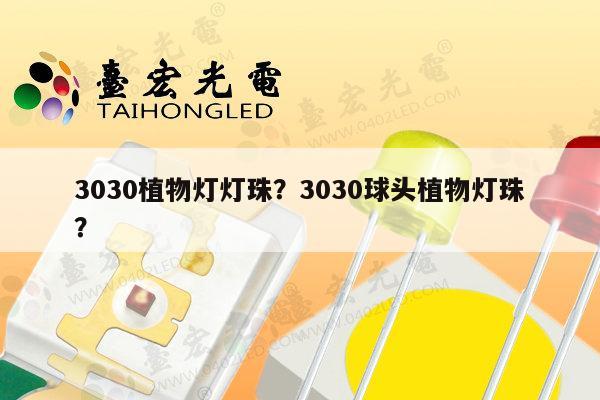 3030植物灯灯珠?3030球头植物灯珠?-第1张图片-led灯珠, 贴片led灯珠, 直插led灯珠, 大功率灯珠, 3528灯珠, led灯珠厂家广东台宏光电科技有限公司 服务热线400-689-8189 3030植物灯灯珠?3030球头植物灯珠?-第1张图片-led灯珠, 贴片led灯珠, 直插led灯珠, 大功率灯珠, 3528灯珠, led灯珠厂家广东台宏光电科技有限公司 服务热线400-689-8189