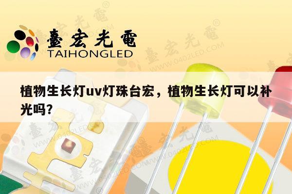 植物生长灯uv灯珠台宏，植物生长灯可以补光吗？-第1张图片-led灯珠, 贴片led灯珠, 直插led灯珠, 大功率灯珠, 3528灯珠, led灯珠厂家广东台宏光电科技有限公司 服务热线400-689-8189