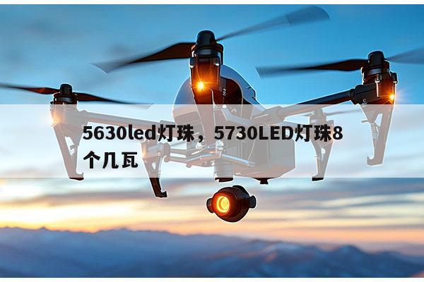 5630led灯珠，5730LED灯珠8个几瓦-第1张图片-led灯珠, 贴片led灯珠, 直插led灯珠, 大功率灯珠, 3528灯珠, led灯珠厂家广东台宏光电科技有限公司 服务热线400-689-8189
