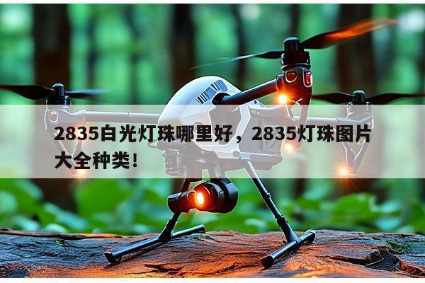 2835白光灯珠哪里好,2835灯珠图片大全种类!-第1张图片-led灯珠, 贴片led灯珠, 直插led灯珠, 大功率灯珠, 3528灯珠, led灯珠厂家广东台宏光电科技有限公司 服务热线400-689-8189 2835白光灯珠哪里好,2835灯珠图片大全种类!-第1张图片-led灯珠, 贴片led灯珠, 直插led灯珠, 大功率灯珠, 3528灯珠, led灯珠厂家广东台宏光电科技有限公司 服务热线400-689-8189