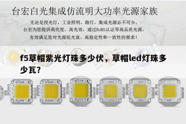 f5草帽紫光灯珠多少伏,草帽led灯珠多少瓦?-第1张图片-led灯珠, 贴片led灯珠, 直插led灯珠, 大功率灯珠, 3528灯珠, led灯珠厂家广东台宏光电科技有限公司 服务热线400-689-8189 f5草帽紫光灯珠多少伏,草帽led灯珠多少瓦?-第1张图片-led灯珠, 贴片led灯珠, 直插led灯珠, 大功率灯珠, 3528灯珠, led灯珠厂家广东台宏光电科技有限公司 服务热线400-689-8189