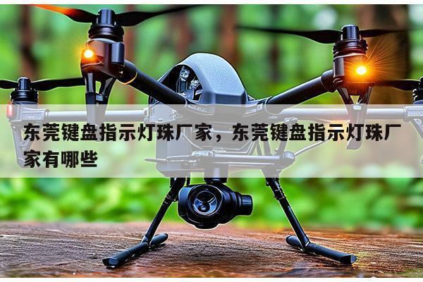东莞键盘指示灯珠厂家,东莞键盘指示灯珠厂家有哪些-第1张图片-led灯珠, 贴片led灯珠, 直插led灯珠, 大功率灯珠, 3528灯珠, led灯珠厂家广东台宏光电科技有限公司 服务热线400-689-8189 东莞键盘指示灯珠厂家,东莞键盘指示灯珠厂家有哪些-第1张图片-led灯珠, 贴片led灯珠, 直插led灯珠, 大功率灯珠, 3528灯珠, led灯珠厂家广东台宏光电科技有限公司 服务热线400-689-8189