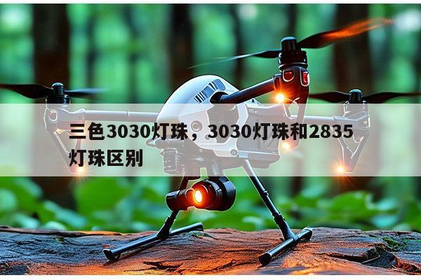 三色3030灯珠,3030灯珠和2835灯珠区别-第1张图片-led灯珠, 贴片led灯珠, 直插led灯珠, 大功率灯珠, 3528灯珠, led灯珠厂家广东台宏光电科技有限公司 服务热线400-689-8189 三色3030灯珠,3030灯珠和2835灯珠区别-第1张图片-led灯珠, 贴片led灯珠, 直插led灯珠, 大功率灯珠, 3528灯珠, led灯珠厂家广东台宏光电科技有限公司 服务热线400-689-8189