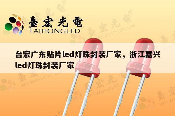 台宏广东贴片led灯珠封装厂家，浙江嘉兴led灯珠封装厂家-第1张图片-led灯珠, 贴片led灯珠, 直插led灯珠, 大功率灯珠, 3528灯珠, led灯珠厂家广东台宏光电科技有限公司 服务热线400-689-8189