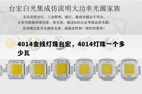 4014金线灯珠台宏，4014灯珠一个多少瓦-第1张图片-led灯珠, 贴片led灯珠, 直插led灯珠, 大功率灯珠, 3528灯珠, led灯珠厂家广东台宏光电科技有限公司 服务热线400-689-8189