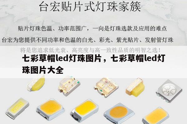 七彩草帽led灯珠图片,七彩草帽led灯珠图片大全-第1张图片-led灯珠, 贴片led灯珠, 直插led灯珠, 大功率灯珠, 3528灯珠, led灯珠厂家广东台宏光电科技有限公司 服务热线400-689-8189 七彩草帽led灯珠图片,七彩草帽led灯珠图片大全-第1张图片-led灯珠, 贴片led灯珠, 直插led灯珠, 大功率灯珠, 3528灯珠, led灯珠厂家广东台宏光电科技有限公司 服务热线400-689-8189