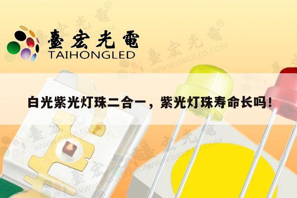 白光紫光灯珠二合一,紫光灯珠寿命长吗!-第1张图片-led灯珠, 贴片led灯珠, 直插led灯珠, 大功率灯珠, 3528灯珠, led灯珠厂家广东台宏光电科技有限公司 服务热线400-689-8189 白光紫光灯珠二合一,紫光灯珠寿命长吗!-第1张图片-led灯珠, 贴片led灯珠, 直插led灯珠, 大功率灯珠, 3528灯珠, led灯珠厂家广东台宏光电科技有限公司 服务热线400-689-8189