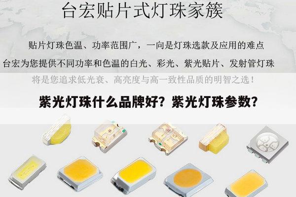 紫光灯珠什么品牌好?紫光灯珠参数?-第1张图片-led灯珠, 贴片led灯珠, 直插led灯珠, 大功率灯珠, 3528灯珠, led灯珠厂家广东台宏光电科技有限公司 服务热线400-689-8189 紫光灯珠什么品牌好?紫光灯珠参数?-第1张图片-led灯珠, 贴片led灯珠, 直插led灯珠, 大功率灯珠, 3528灯珠, led灯珠厂家广东台宏光电科技有限公司 服务热线400-689-8189