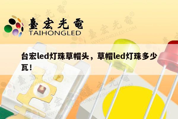 台宏led灯珠草帽头，草帽led灯珠多少瓦！-第1张图片-led灯珠, 贴片led灯珠, 直插led灯珠, 大功率灯珠, 3528灯珠, led灯珠厂家广东台宏光电科技有限公司 服务热线400-689-8189