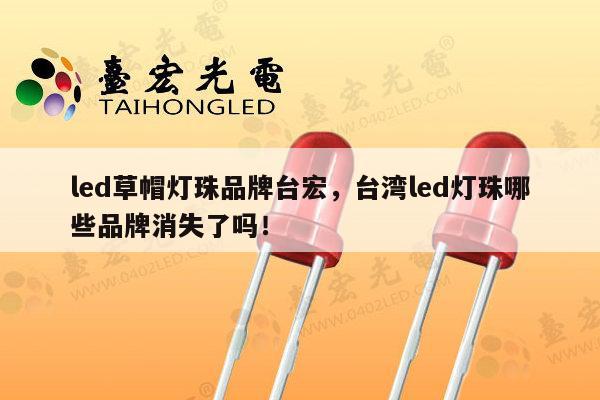 led草帽灯珠品牌台宏,台湾led灯珠哪些品牌消失了吗!-第1张图片-led灯珠, 贴片led灯珠, 直插led灯珠, 大功率灯珠, 3528灯珠, led灯珠厂家广东台宏光电科技有限公司 服务热线400-689-8189 led草帽灯珠品牌台宏,台湾led灯珠哪些品牌消失了吗!-第1张图片-led灯珠, 贴片led灯珠, 直插led灯珠, 大功率灯珠, 3528灯珠, led灯珠厂家广东台宏光电科技有限公司 服务热线400-689-8189