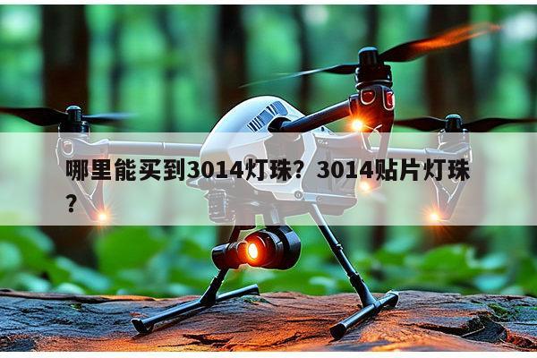 哪里能买到3014灯珠？3014贴片灯珠？-第1张图片-led灯珠, 贴片led灯珠, 直插led灯珠, 大功率灯珠, 3528灯珠, led灯珠厂家广东台宏光电科技有限公司 服务热线400-689-8189
