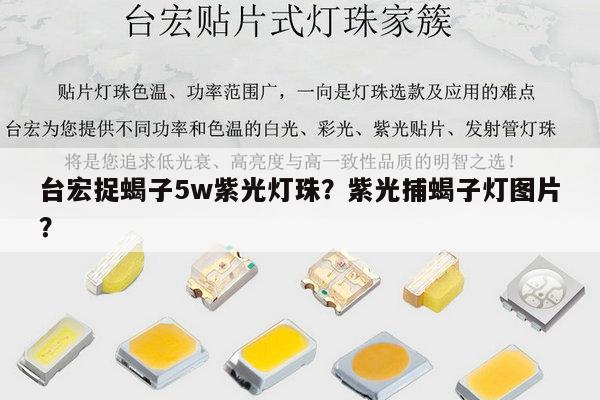 台宏捉蝎子5w紫光灯珠？紫光捕蝎子灯图片？-第1张图片-led灯珠, 贴片led灯珠, 直插led灯珠, 大功率灯珠, 3528灯珠, led灯珠厂家广东台宏光电科技有限公司 服务热线400-689-8189